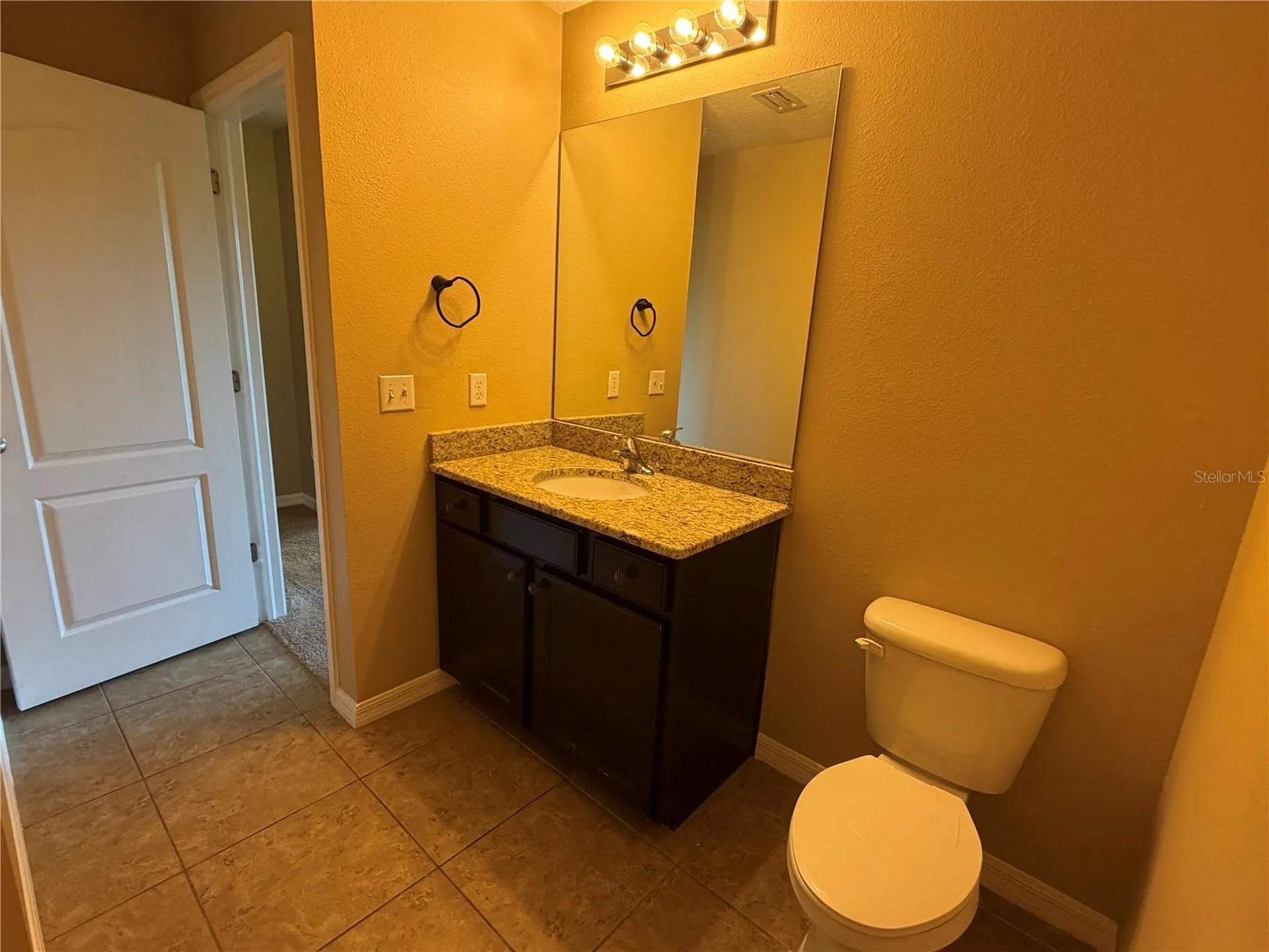 10273 Villa Palazzo Court Tampa FL 33615