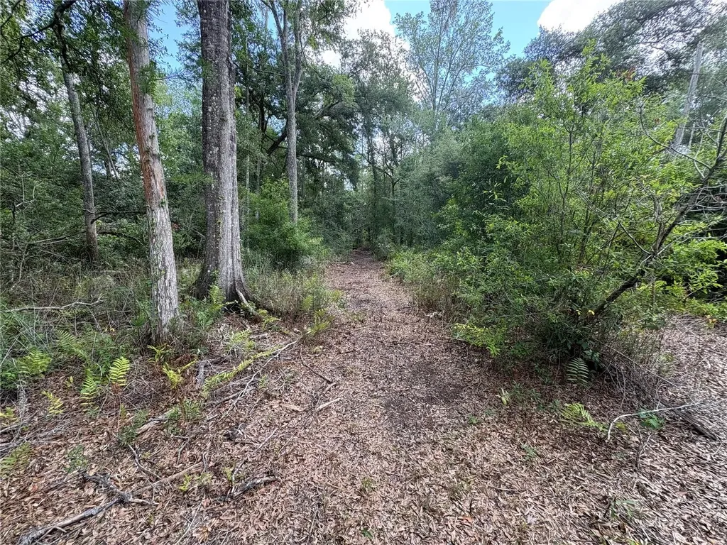 12708 Farmettes Road Lakeland FL 33809