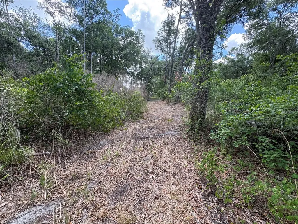 12708 Farmettes Road Lakeland FL 33809