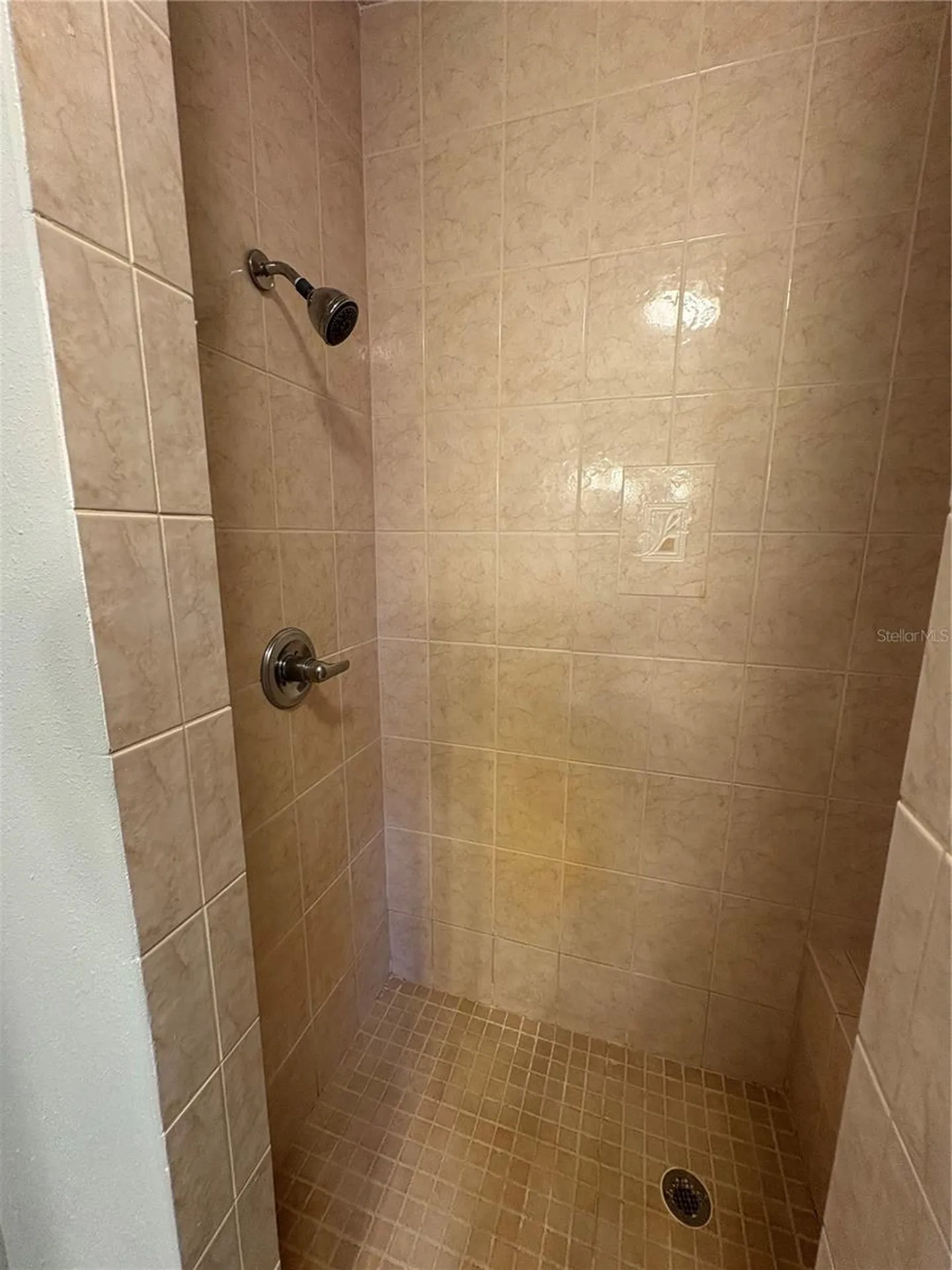 12708 Farmettes Road Lakeland FL 33809