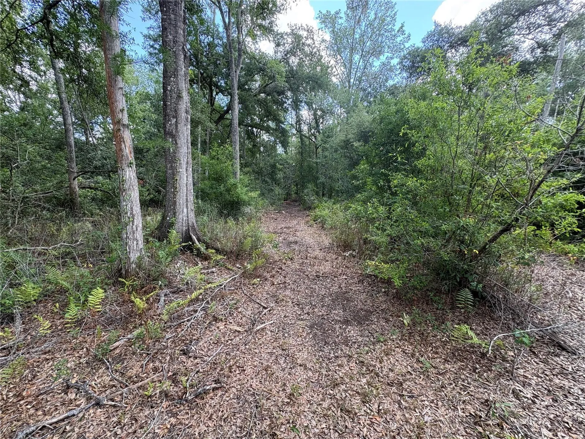 12708 Farmettes Road Lakeland FL 33809