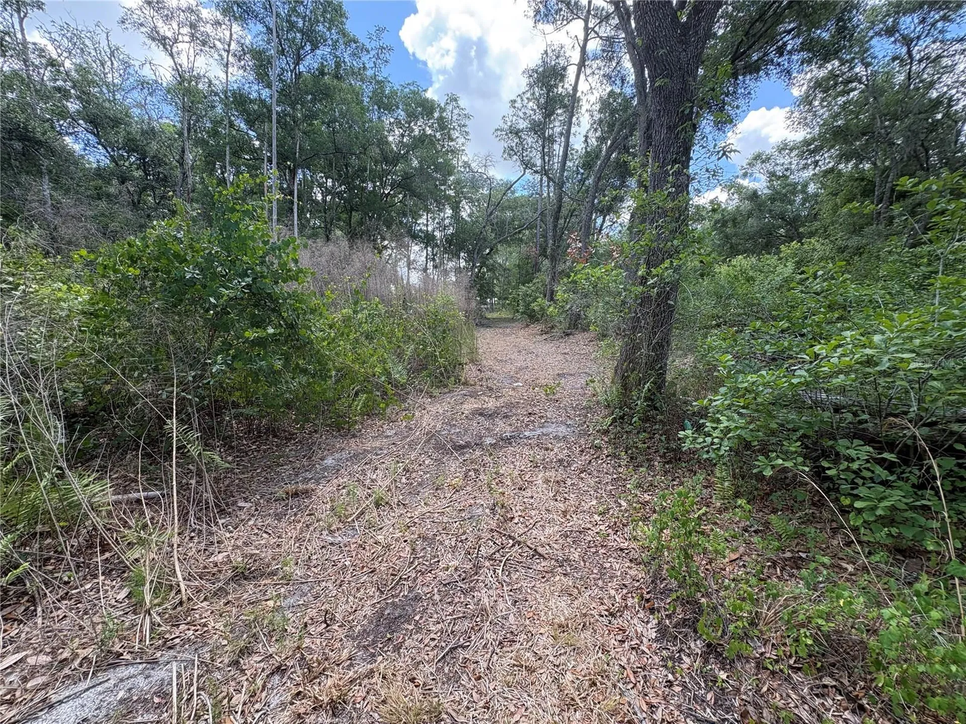 12708 Farmettes Road Lakeland FL 33809