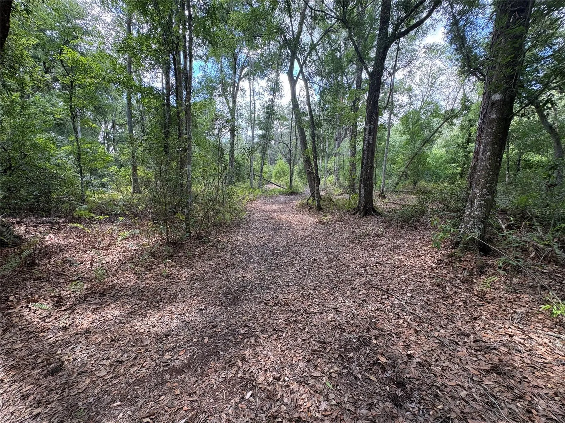12708 Farmettes Road Lakeland FL 33809