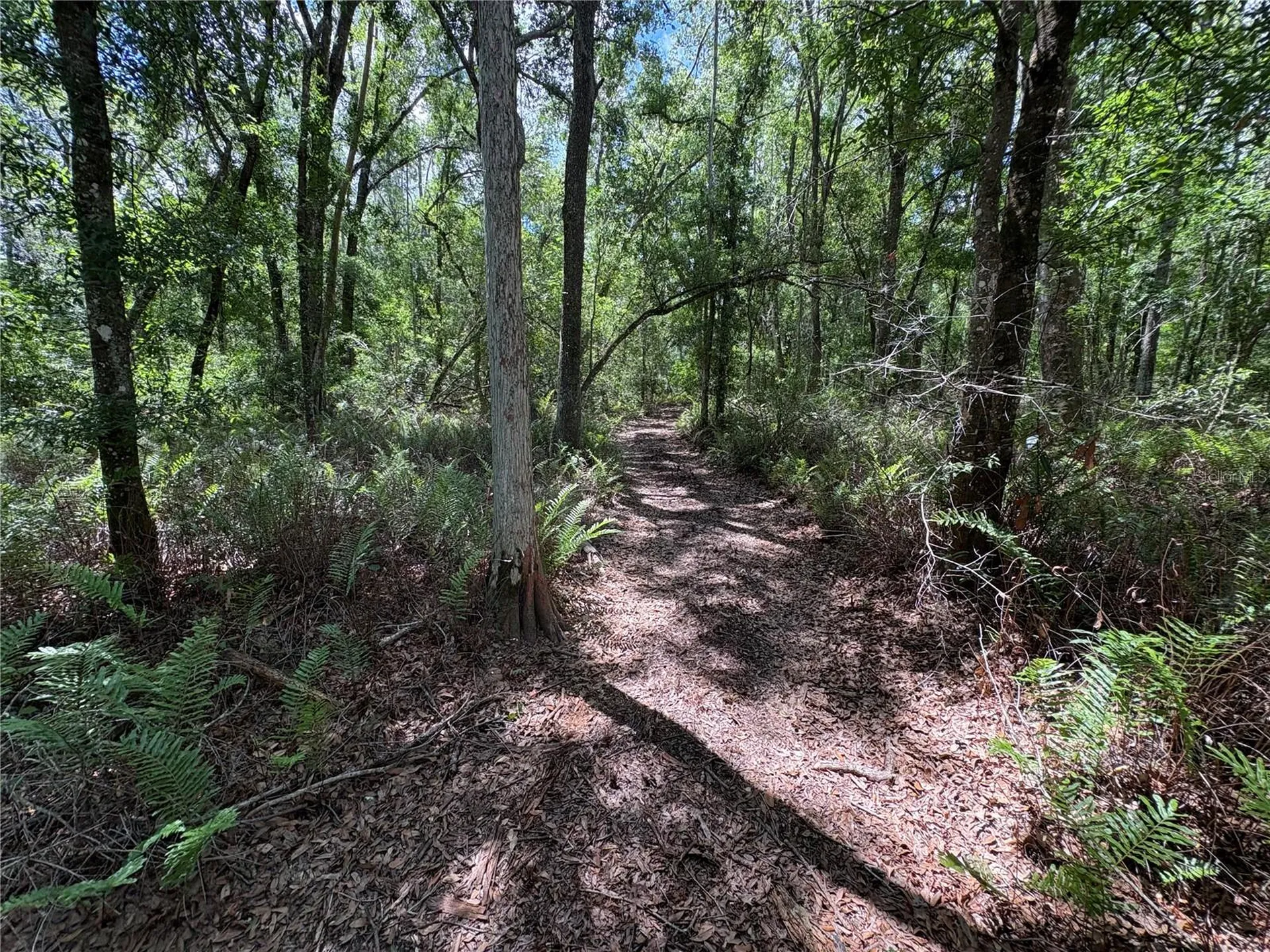 12708 Farmettes Road Lakeland FL 33809
