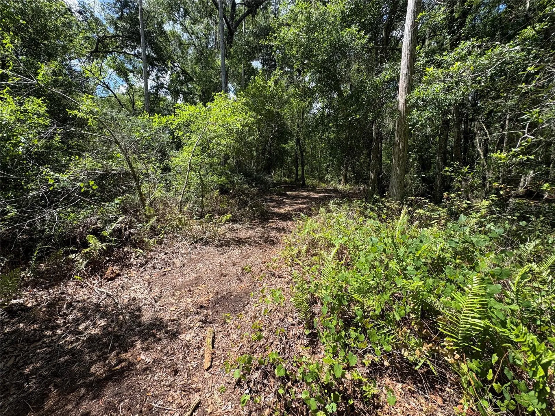 12708 Farmettes Road Lakeland FL 33809