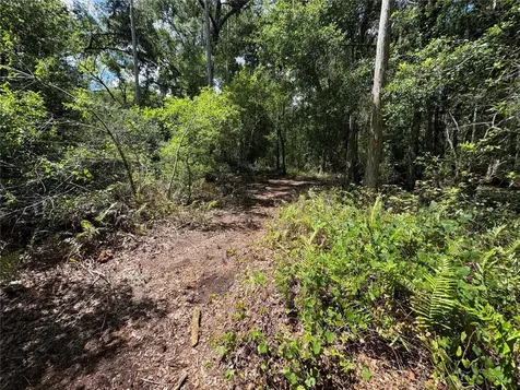 12708 Farmettes Road Lakeland FL 33809