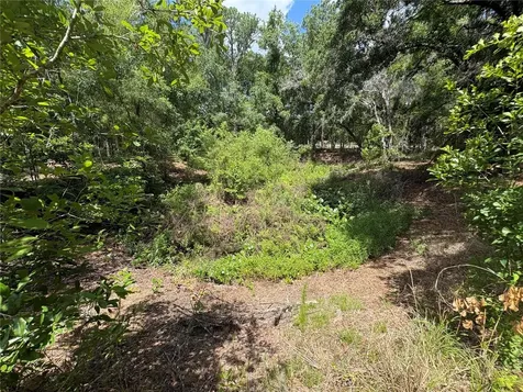 12708 Farmettes Road Lakeland FL 33809