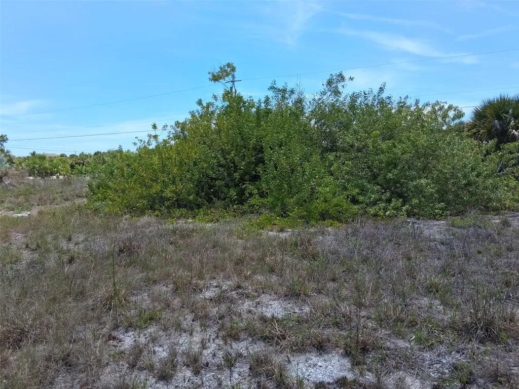 10166 Kingsville Drive Port Charlotte FL 33981