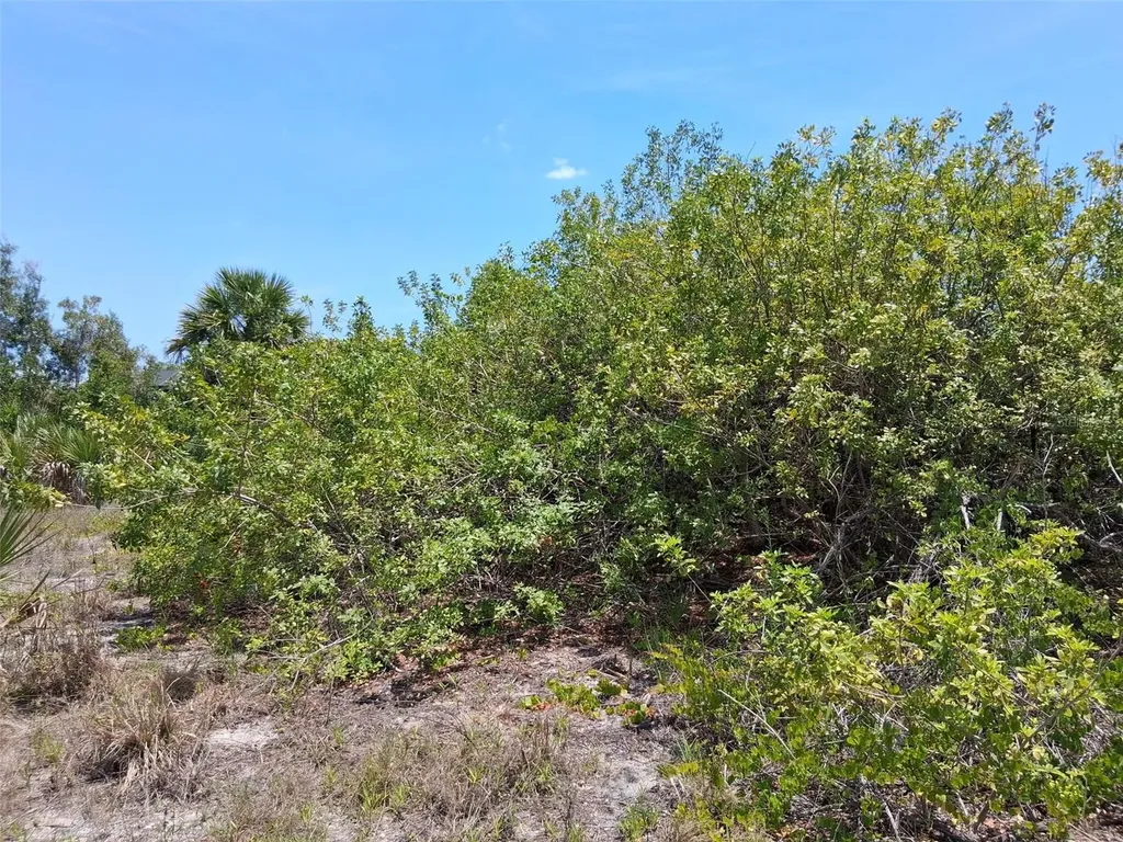 10166 Kingsville Drive Port Charlotte FL 33981