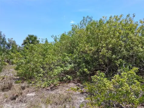 10166 Kingsville Drive Port Charlotte FL 33981