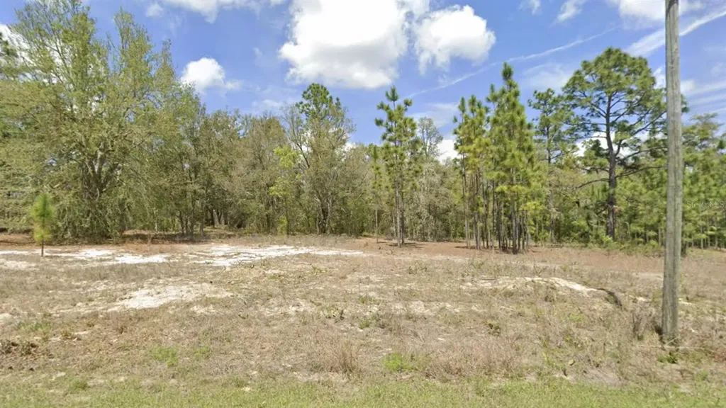 1907 W Corrine Street Dunnellon FL 34434