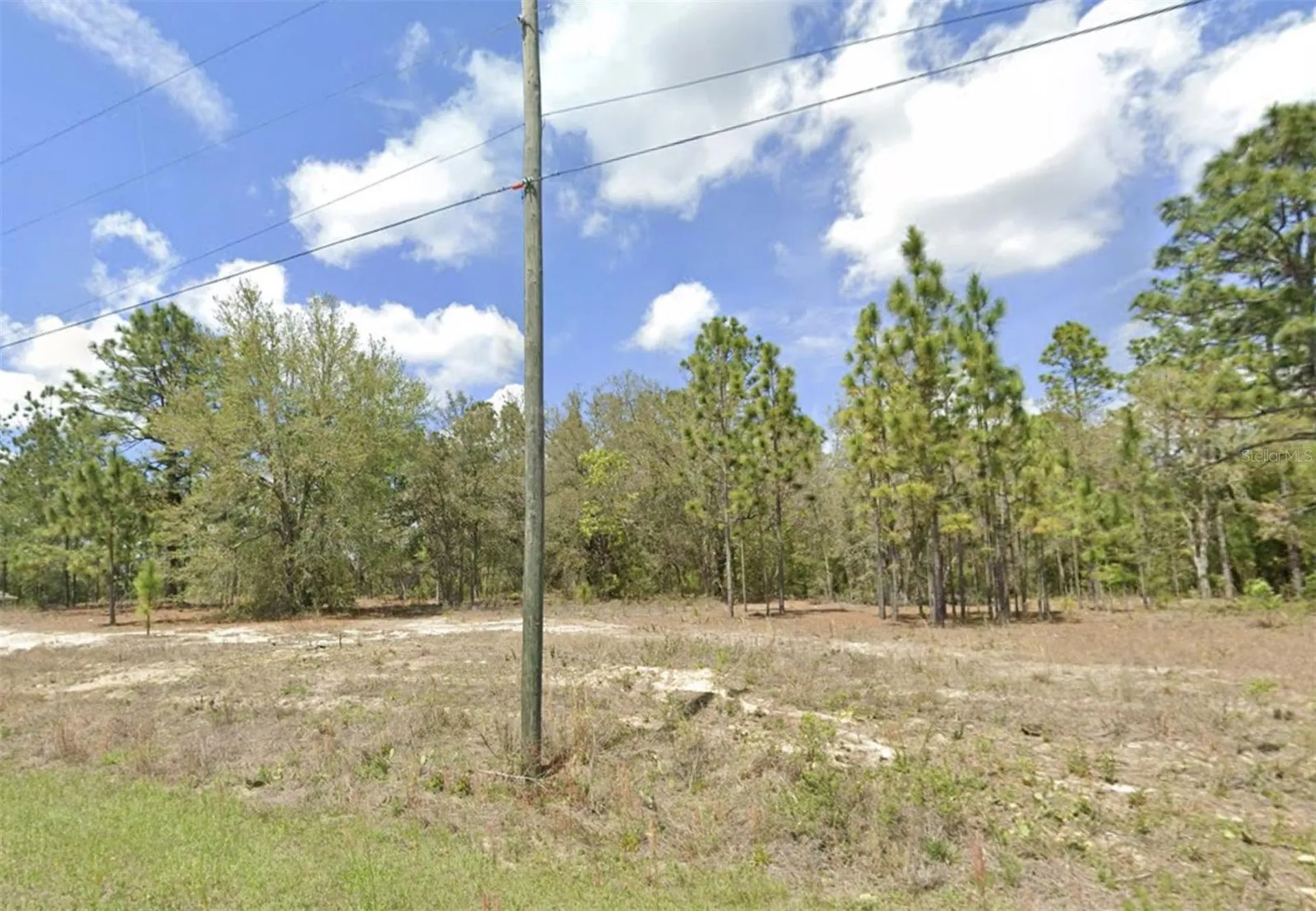 1907 W Corrine Street Dunnellon FL 34434