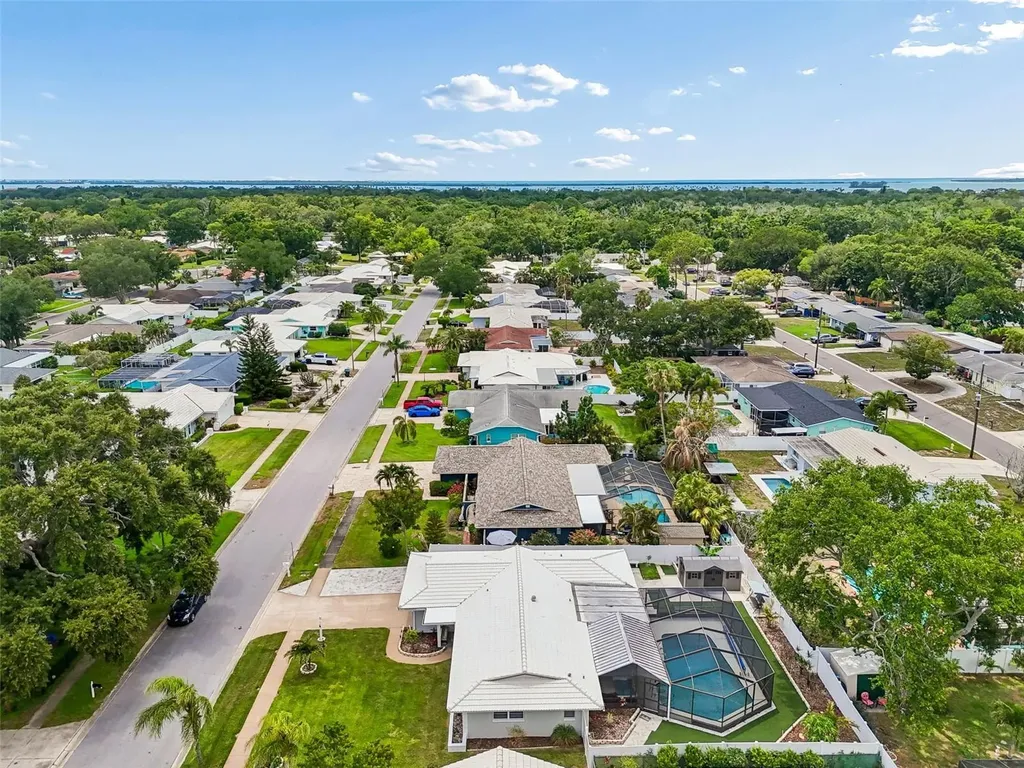 1110 Mccarty Street Dunedin FL 34698
