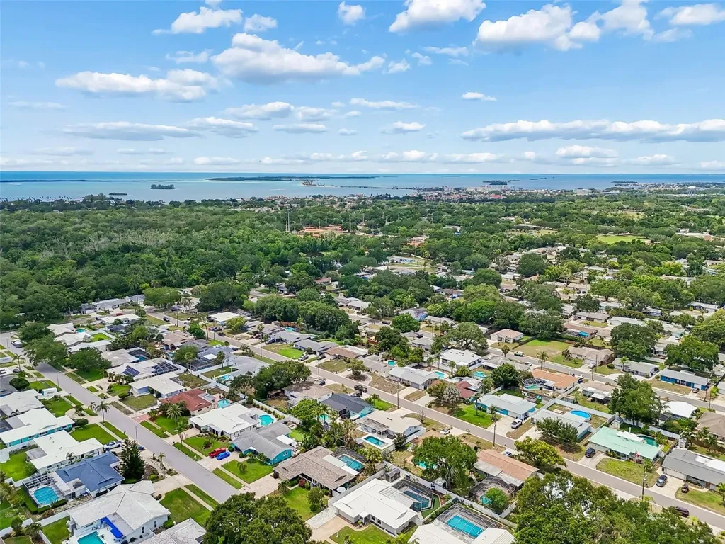 1110 Mccarty Street Dunedin FL 34698