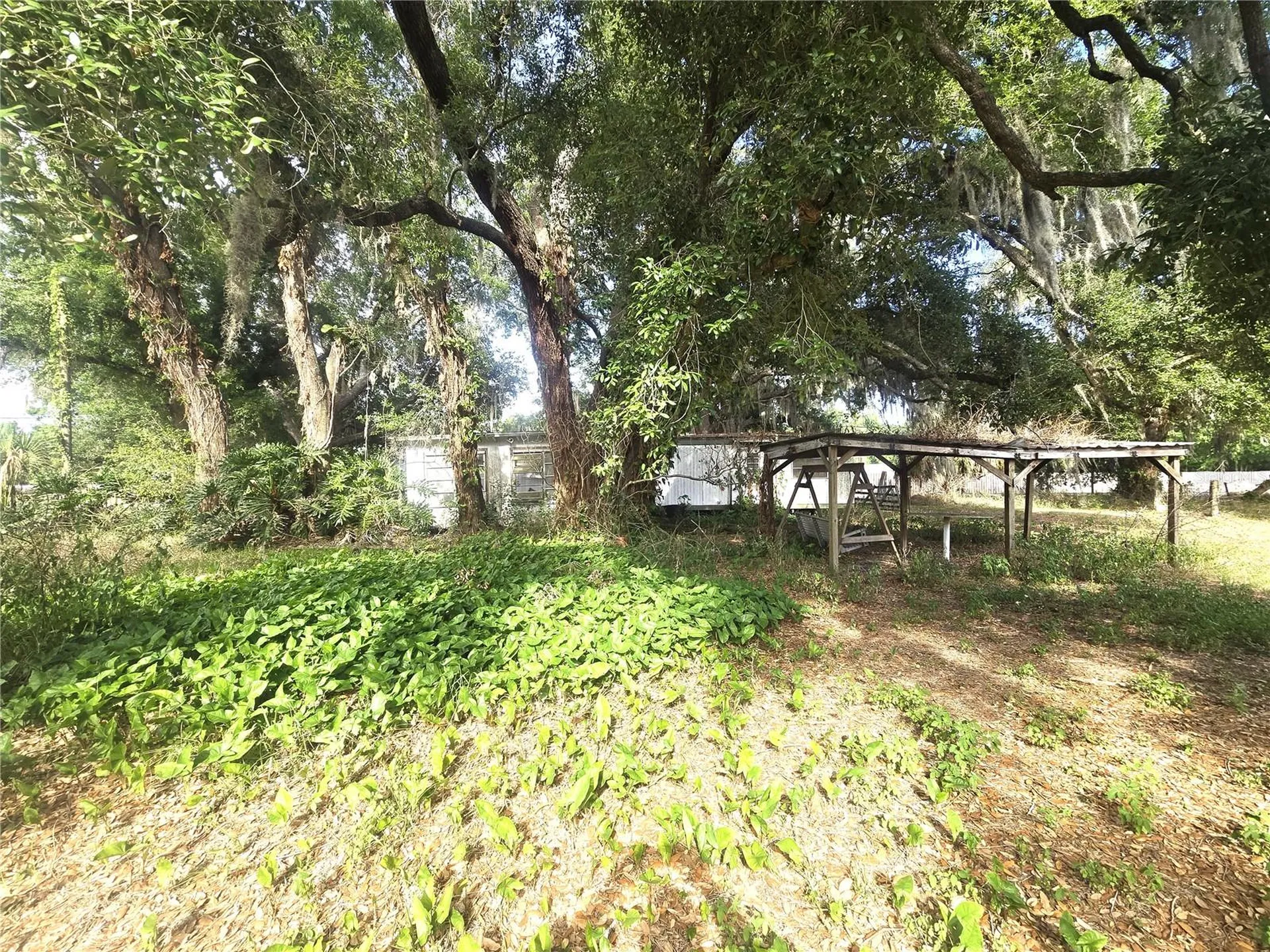 1124 Jerry Smith Road Dover FL 33527