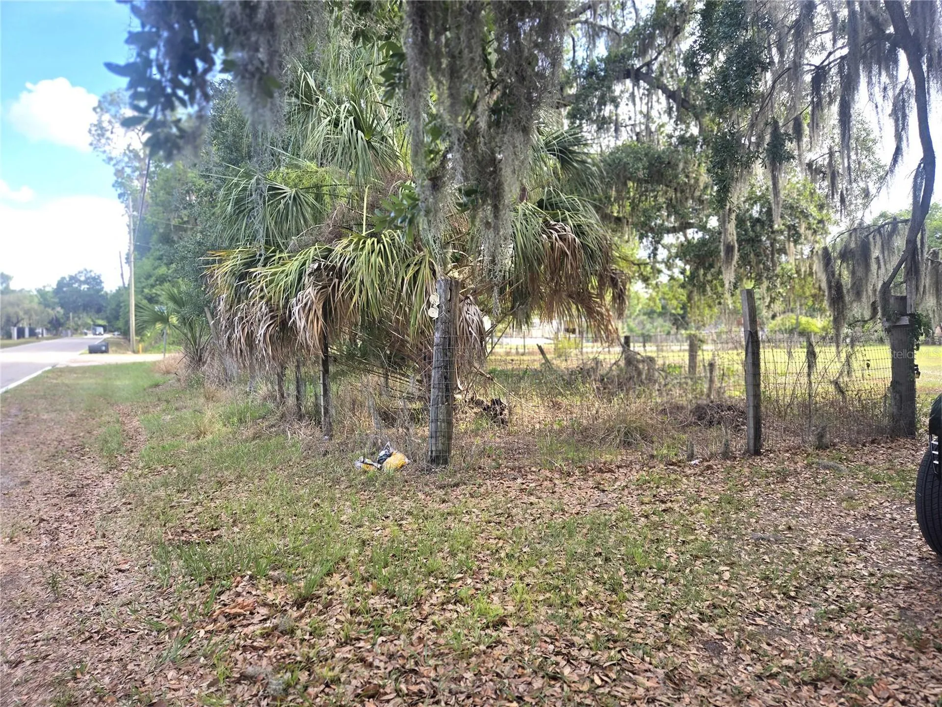 1124 Jerry Smith Road Dover FL 33527