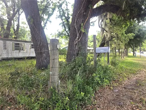 1124 Jerry Smith Road Dover FL 33527