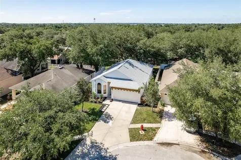 33441 Irongate Drive Leesburg FL 34788