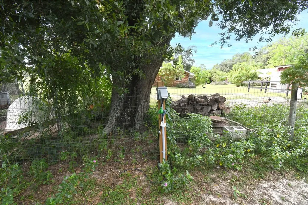 4107 Dove Valley Lane Lady Lake FL 32159