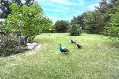 4107 Dove Valley Lane Lady Lake FL 32159