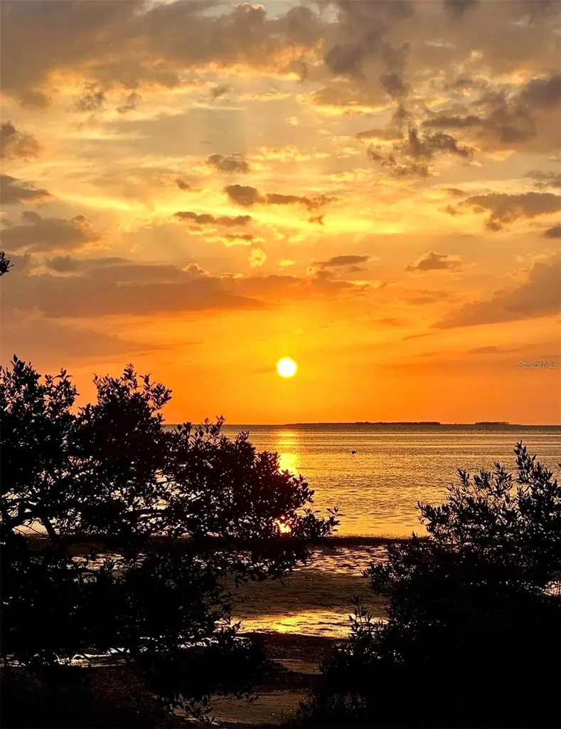 313 Crystal Beach Avenue Crystal Beach FL 34681