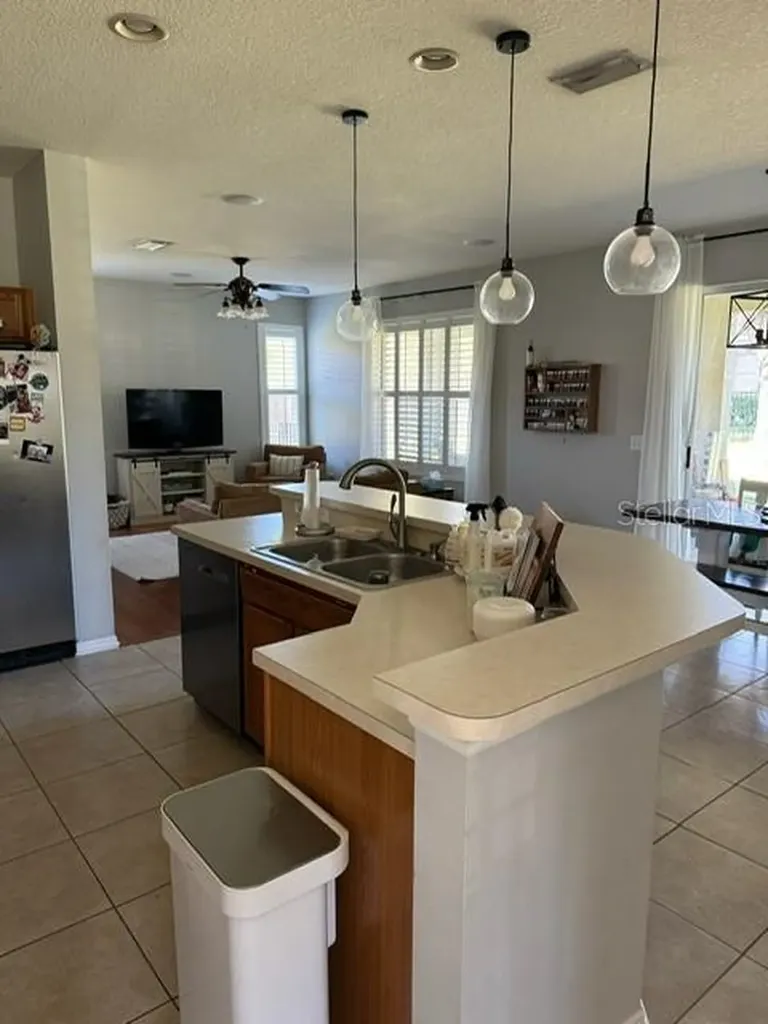 15012 Heronglen Drive Lithia FL 33547