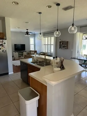 15012 Heronglen Drive Lithia FL 33547