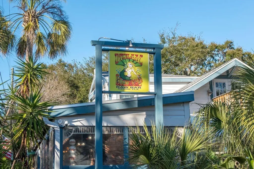 530 Ryans Woods Lane Palm Harbor FL 34683