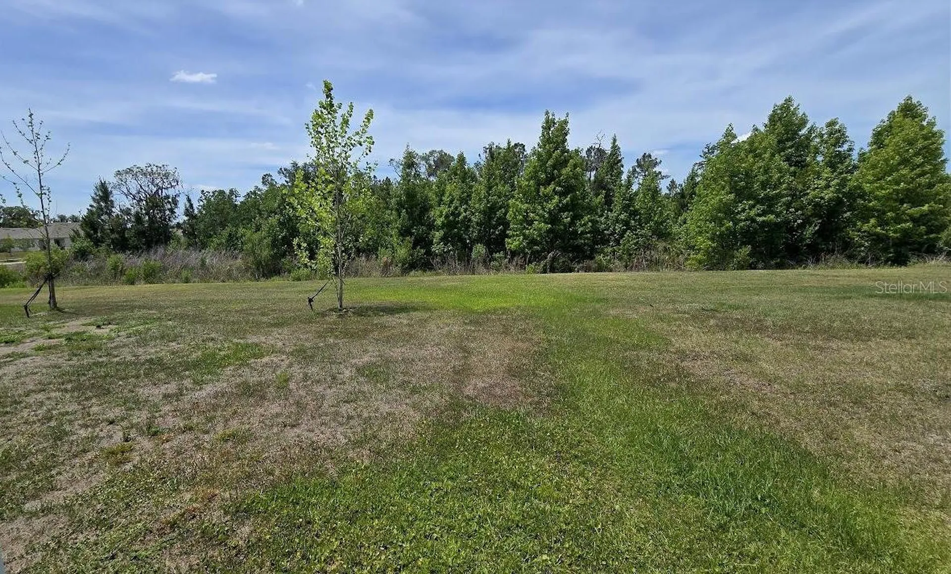 3547 Whale Rock Court Lakeland FL 33811