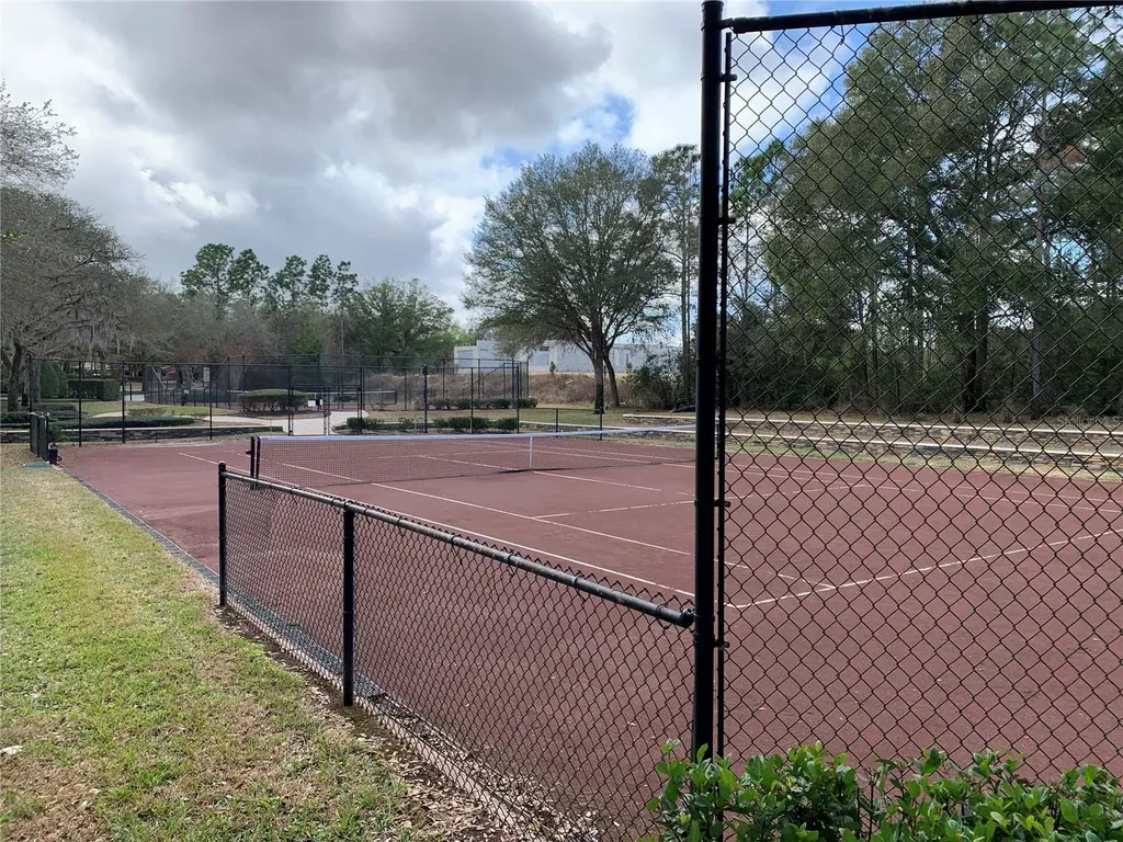 32628 View Haven Lane Sorrento FL 32776
