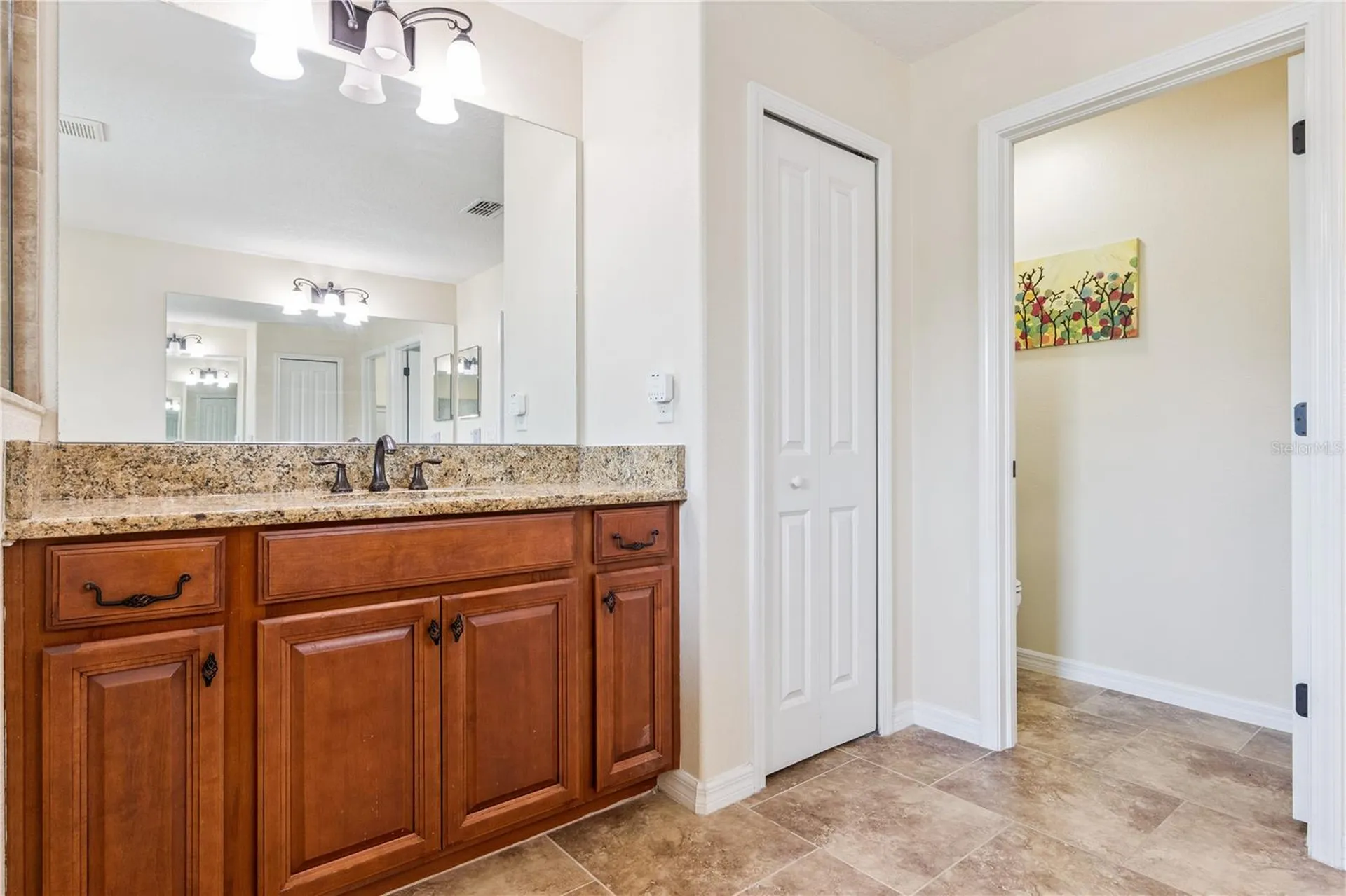 32628 View Haven Lane Sorrento FL 32776