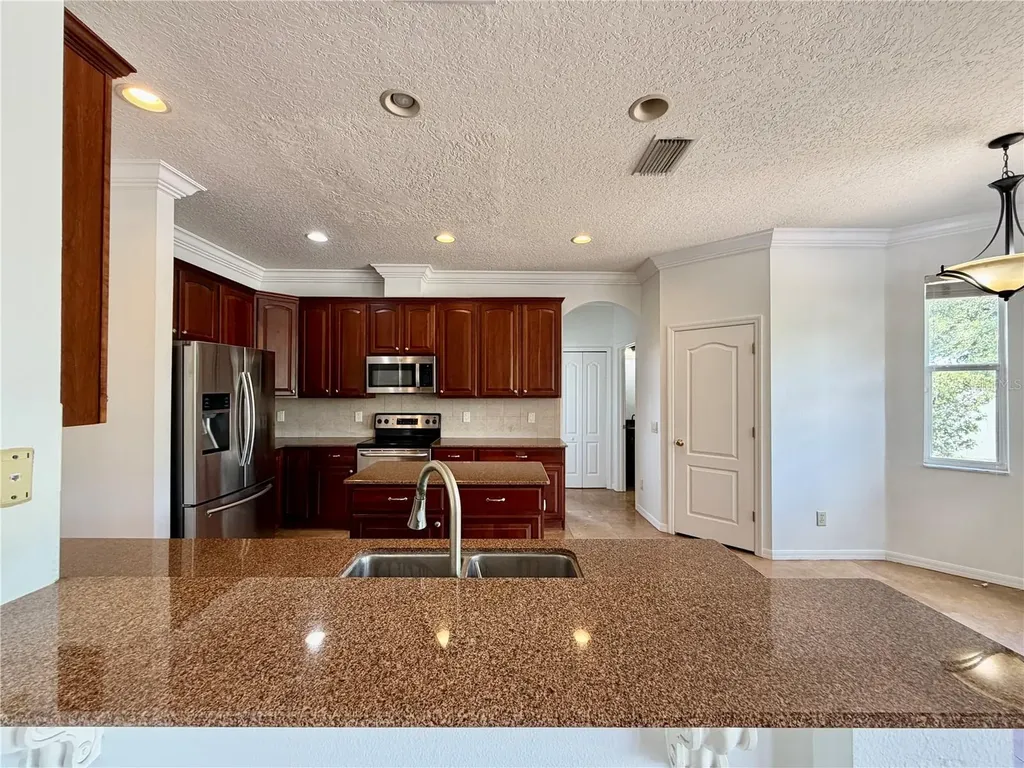 9126 Tollison Loop Land O Lakes FL 34638