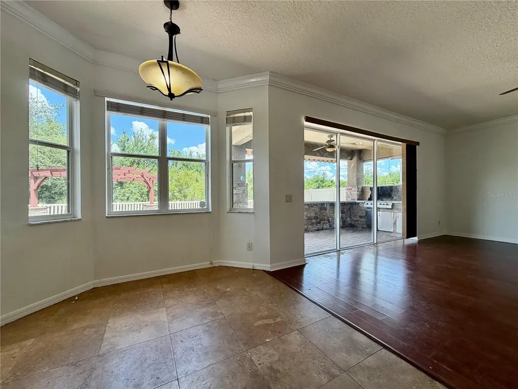 9126 Tollison Loop Land O Lakes FL 34638