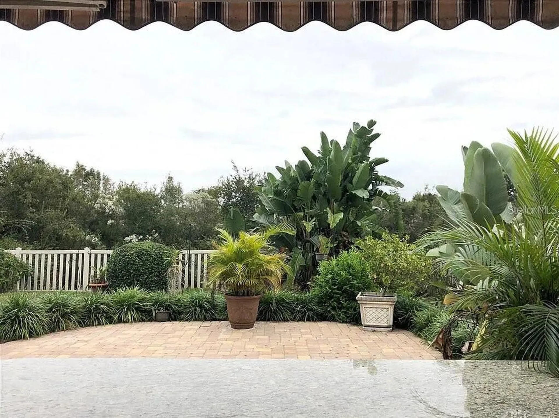 9126 Tollison Loop Land O Lakes FL 34638