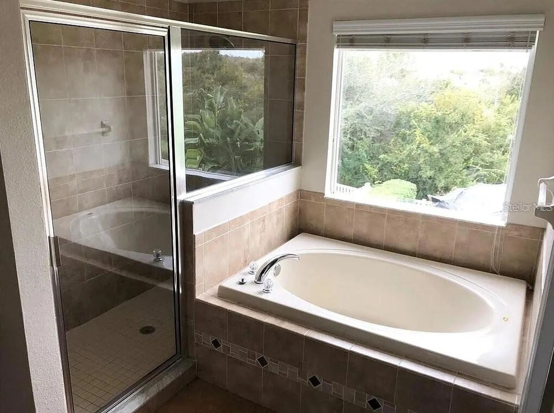 9126 Tollison Loop Land O Lakes FL 34638