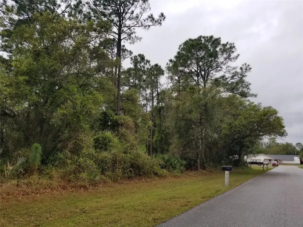 21239 Wynyard Avenue Port Charlotte FL 33954