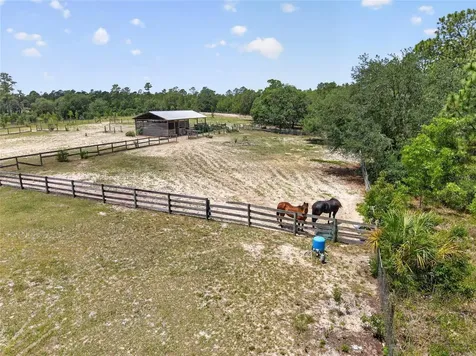 1098 NW 165th Court Road Dunnellon FL 34432
