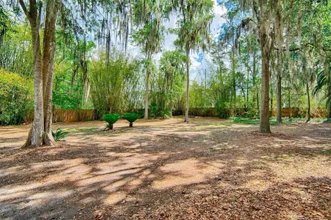 12208 SW 9th Avenue Newberry FL 32669