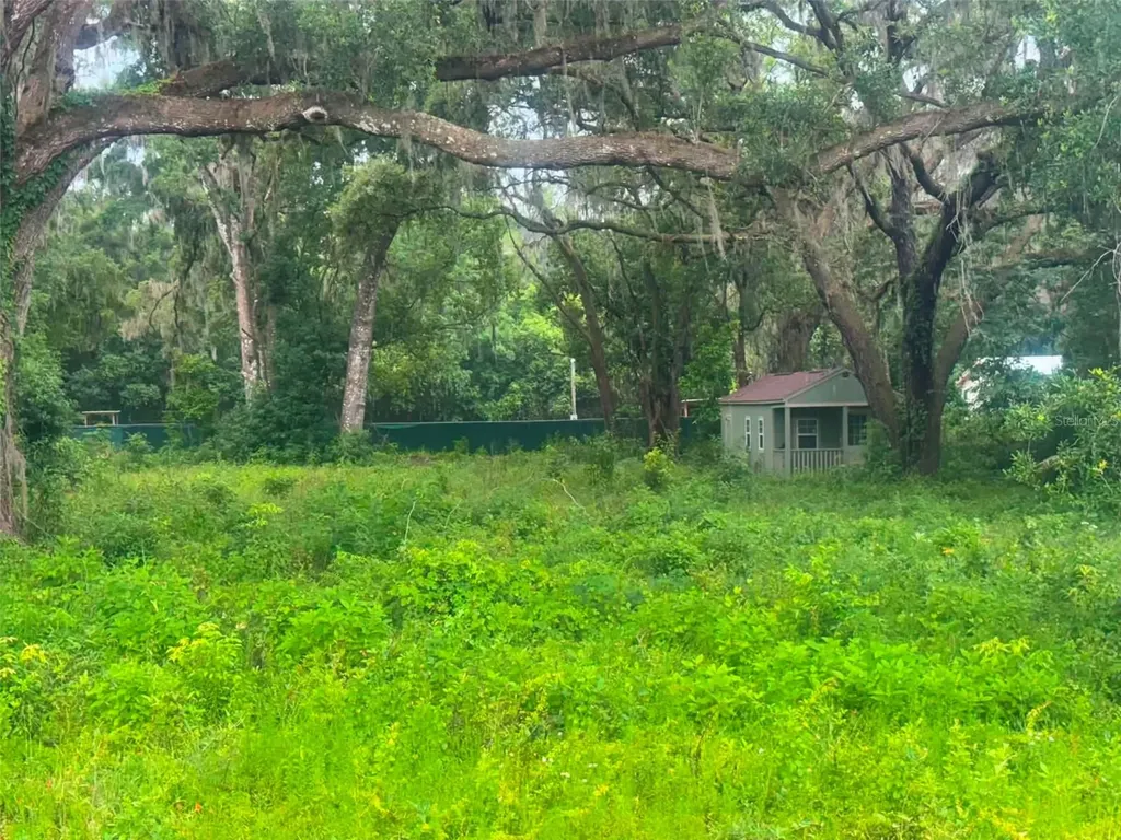 6360 SE 145th Place Summerfield FL 34491