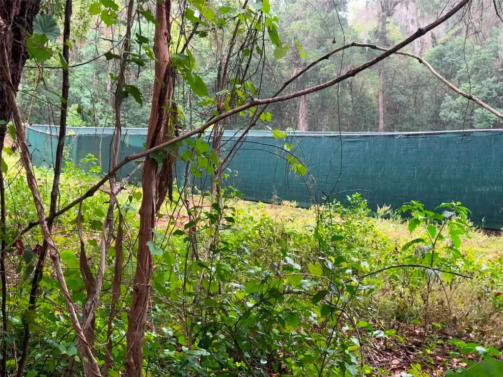 6360 SE 145th Place Summerfield FL 34491