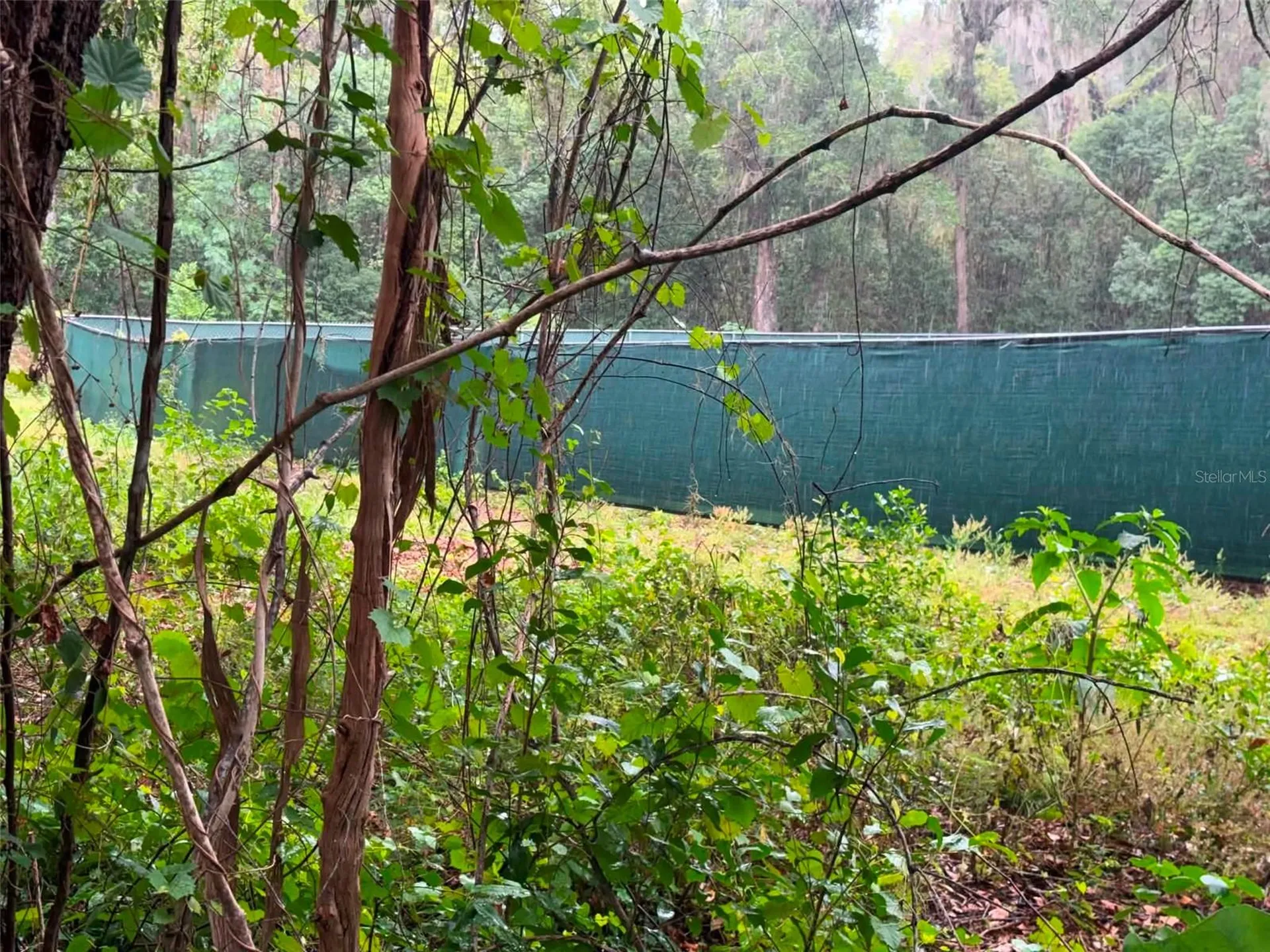 6360 SE 145th Place Summerfield FL 34491