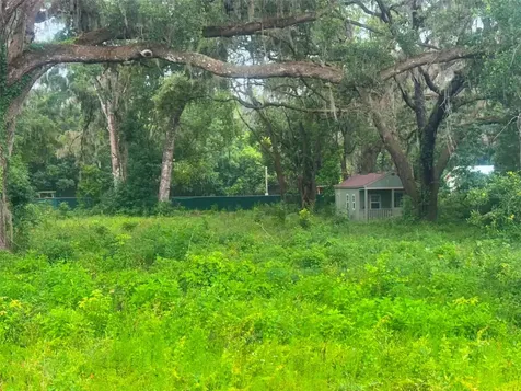 6360 SE 145th Place Summerfield FL 34491