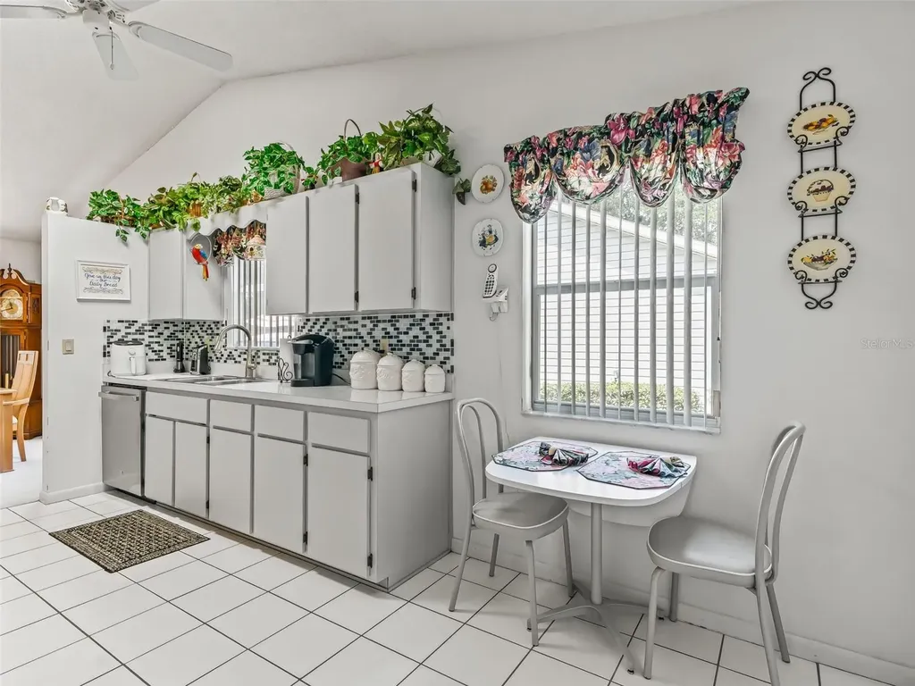 1103 Ben Hope Leesburg FL 34788