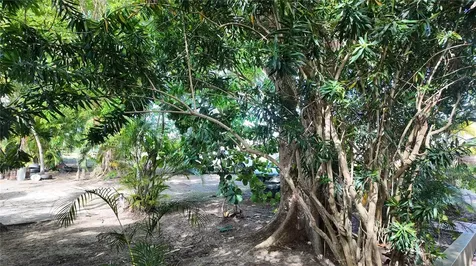 690 Los Naborias Street Vega Alta PR 00692