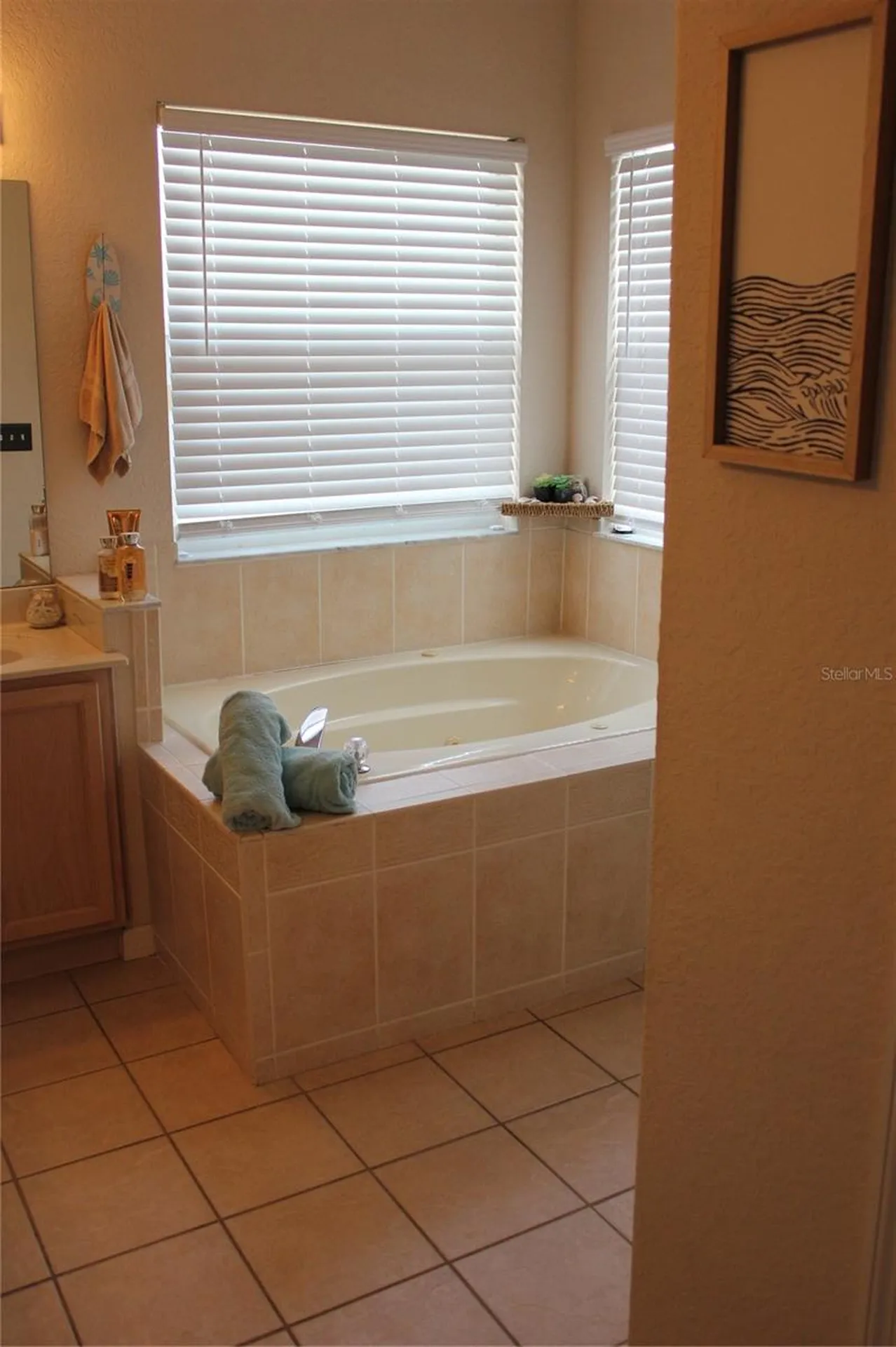 738 Corvina Drive Davenport FL 33897