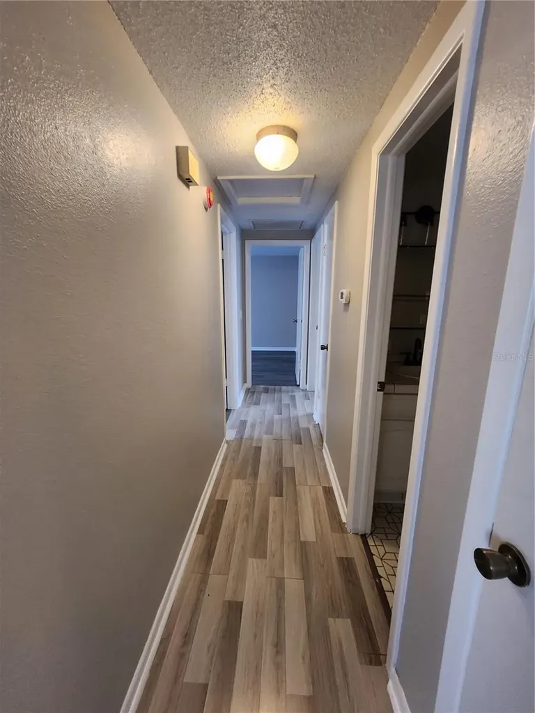 806 Walnut Drive Seffner FL 33584