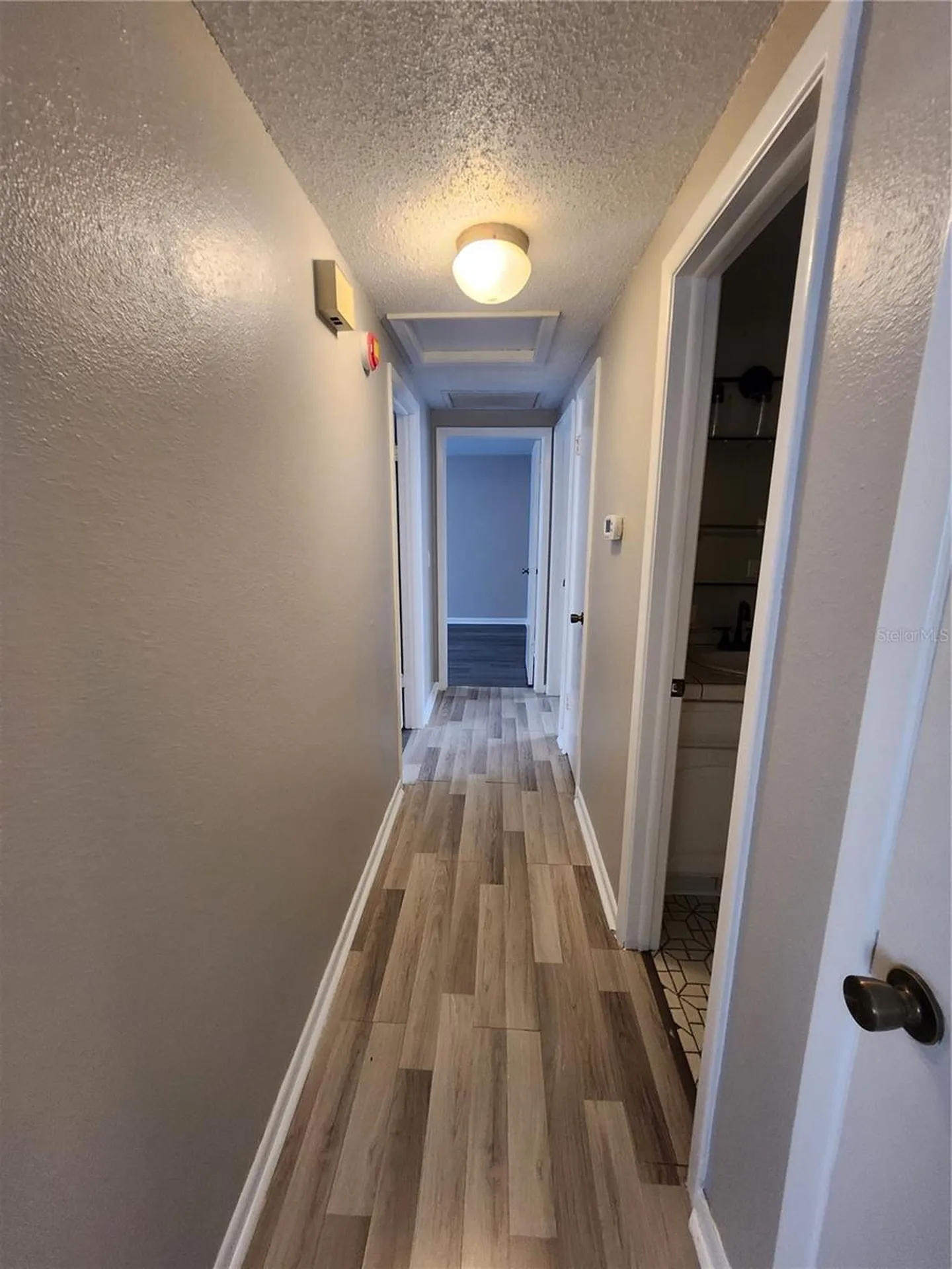 806 Walnut Drive Seffner FL 33584