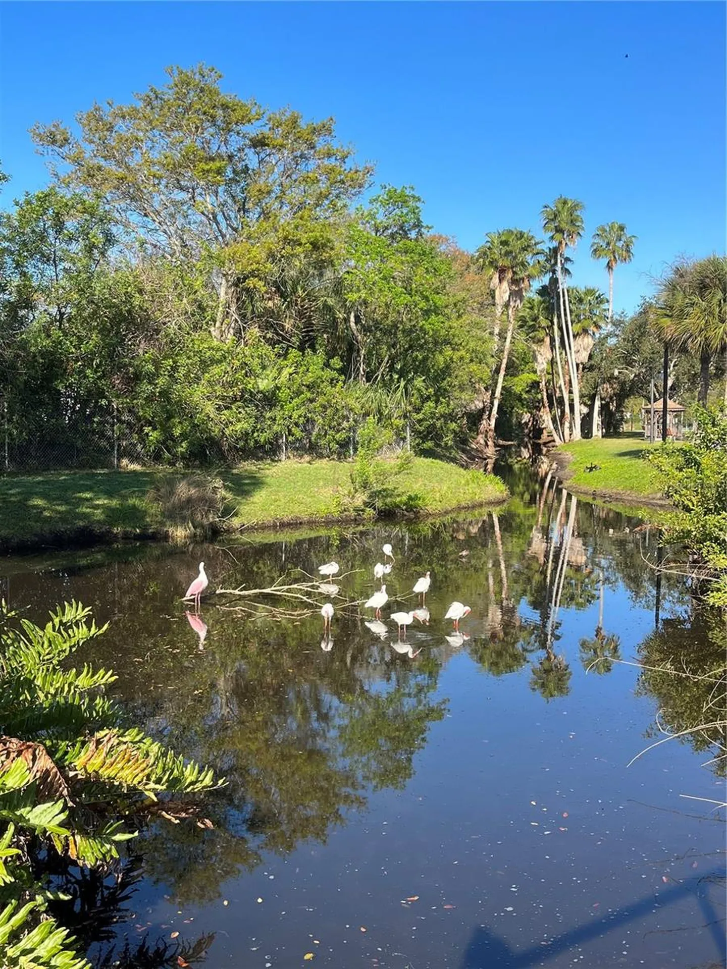 5605 Shore Boulevard S Gulfport FL 33707
