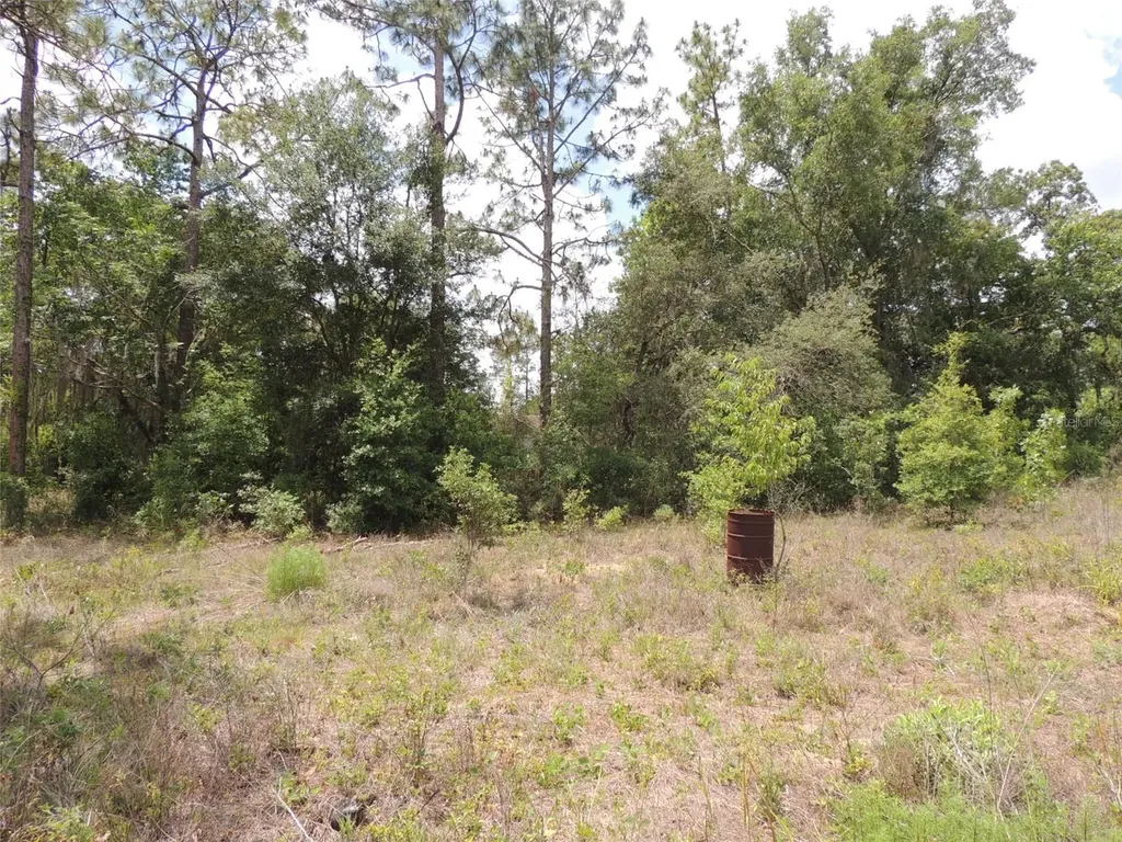 11351 SE 32nd Place Morriston FL 32668