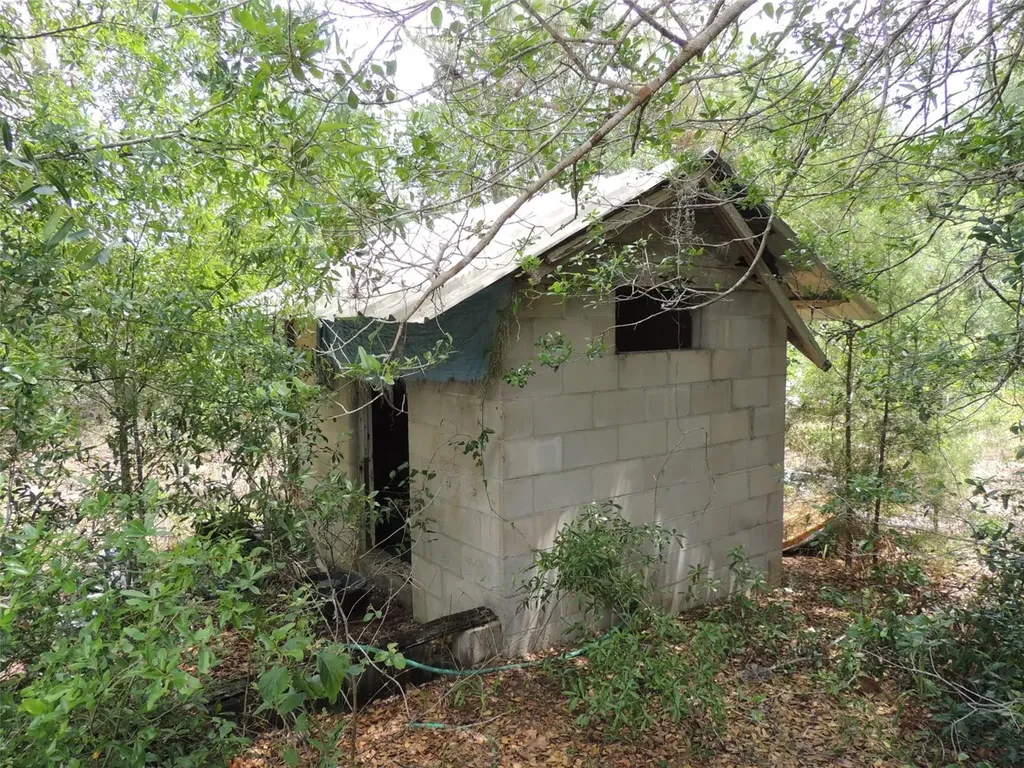 11351 SE 32nd Place Morriston FL 32668